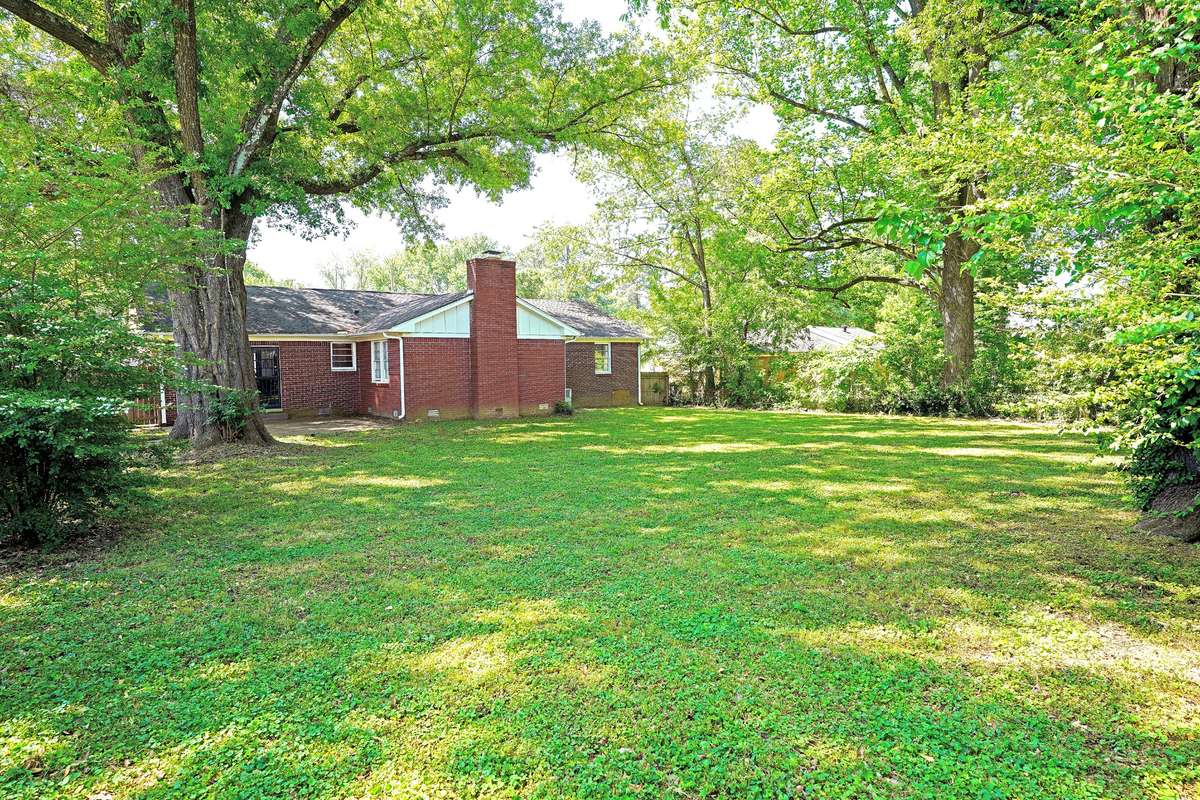Spacious Backyard