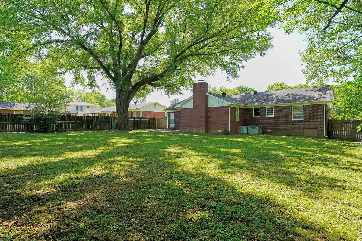 Spacious Backyard