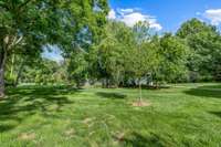 Plenty of flat space in the back for the kids to play!  Or, does anyone see a pickleball court in their future?