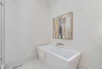 Owner's suite bath tub