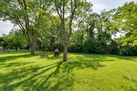 Large backyard