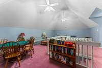 Bonus/Recreation Room