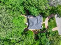 Surrounded by trees