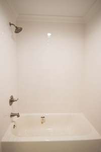 Nice shower/tub combo