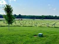 There’s something peaceful about seeing them scattered across a field, like nature and farming working in rhythm. Freshly rolled hay bales are a sign of late spring or early summer.