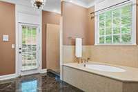 Separate soaking tub and walk in shower with current paint color