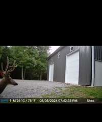 Trail cam