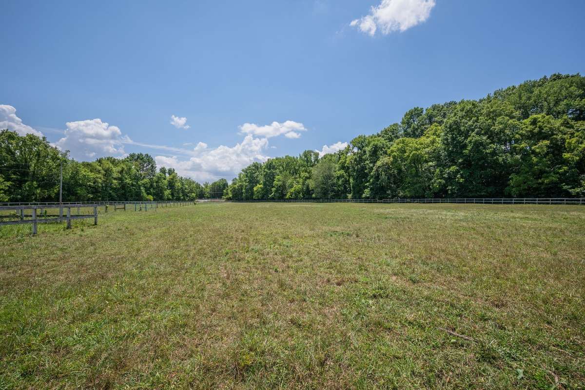 More pasture fields and cross fencing.