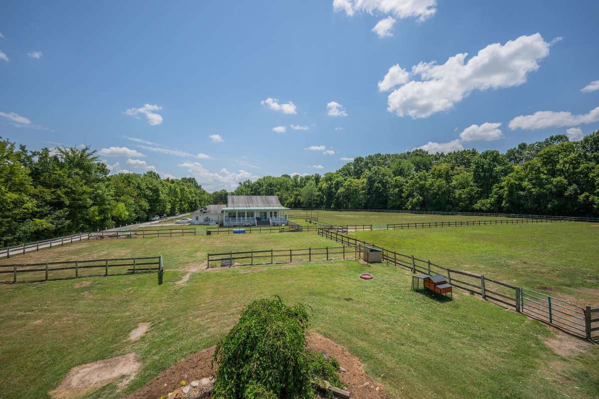 Fencing and cross fensing for stock, horses, pets, etc.