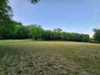Pasture land for your animals!