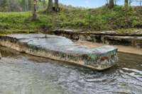 Gator Rock! This was named because of it's shape and located in a large creek out on the property. Great place to swim!