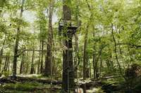 Tree stands and targets throughout the property