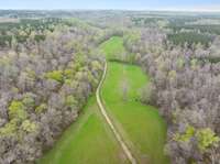 Gorgeous open area on the property