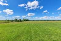 *SO MUCH YARD SPACE*