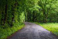 Tranquil, peaceful, serene