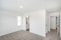 UPPER LEVEL BEDROOM WITH WALK IN