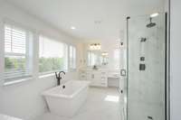 AMAZING MASTER BATH WITH FREE STANDING TUB