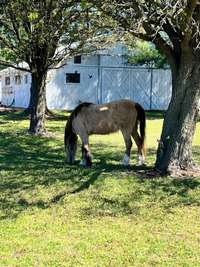 Meet your neighbors.