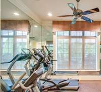 Your home gym is large enough for several pieces of equipment and has a wall of mirrors.