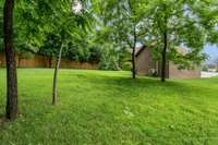 Lovely mature trees in the serene yard.