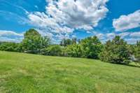 Loads of green space behind property.