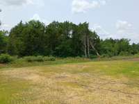 Large Private Backyard has beautiful view of Mature Trees!