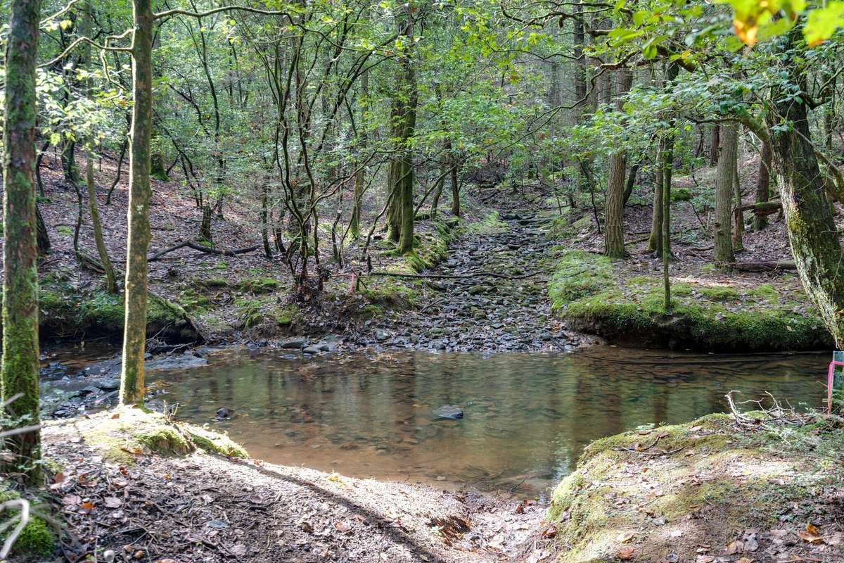 Hiking trails By the creek