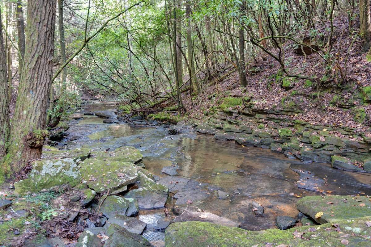 The hiking trails in Deer Lick Falls are beautiful