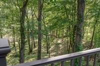 River views from deck!
