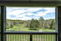 The view from the covered patio looking north. this 5 acre property is cleared and fenced.