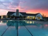 Resort Style Pool
