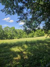 View from the rear yard