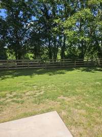 Rear yard