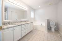 New granite and professional grade faucets