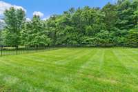 Run play and relax on the stunning level yard with treed privacy