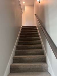 Stairs are carpet and new paint on walls.