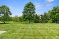 View taken from the covered back porch