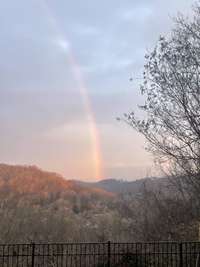 Winter View