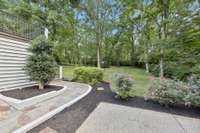 View of backyard from driveway.