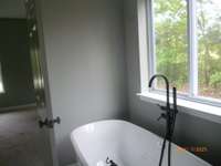 Master bath, separate tub and shower