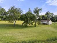 Ample trees with so much useable space
