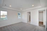 MAIN FLOOR PRIMARY BEDROOM
