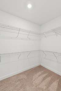 Primary closet