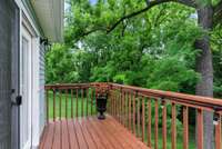 privacy in the backyard and back deck