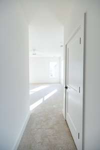 Progress photo taken 11/19/25