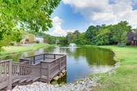 Pond area