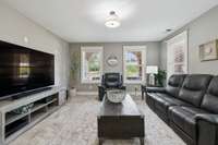 basement living room