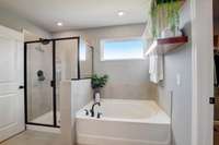 Primary Bath- The Picture is of a model.