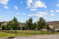 Dog Park