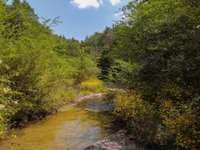Seasonal creek that runs through back of property. Nature at its best!
